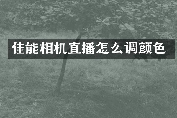 佳能相机直播怎么调颜色