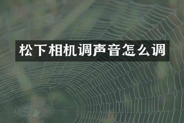 相机调声音怎么调