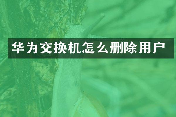 华为交换机怎么删除用户