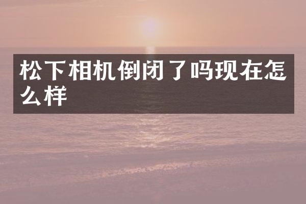相机倒闭了吗现在怎么样