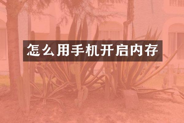 怎么用手机开启内存