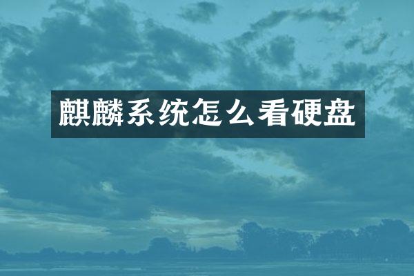 麒麟系统怎么看硬盘