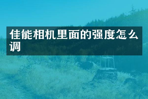 佳能相机里面的强度怎么调