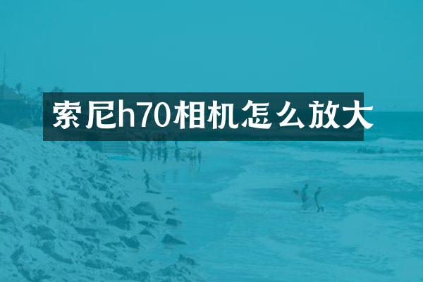 索尼h70相机怎么放大