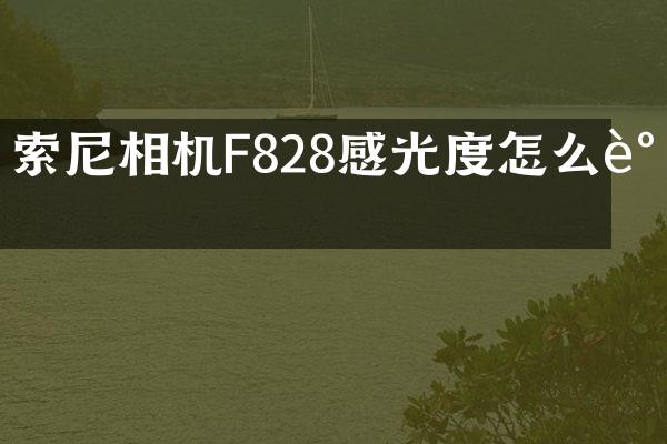 索尼相机F828感光度怎么调