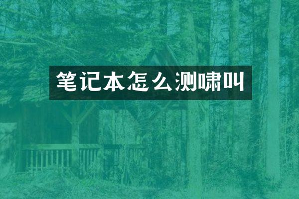 笔记本怎么测啸叫