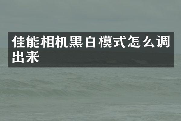 佳能相机黑白模式怎么调出来