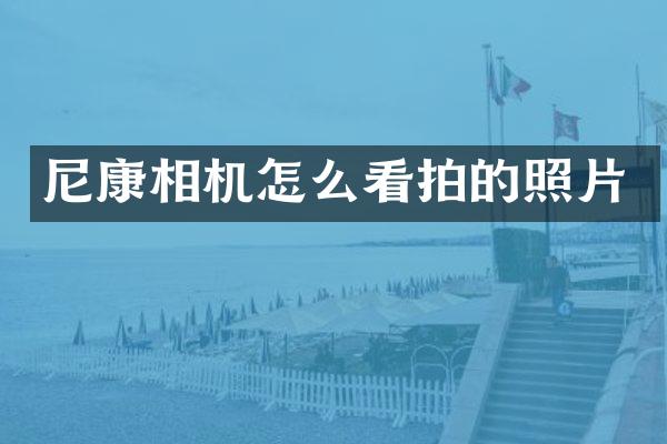 尼康相机怎么看拍的照片