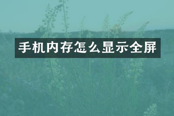 手机内存怎么显示全屏