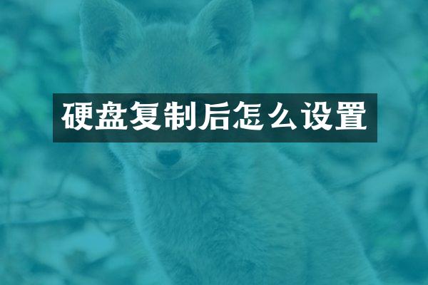 硬盘复制后怎么设置