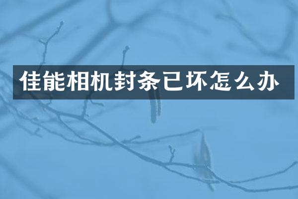 佳能相机封条已坏怎么办