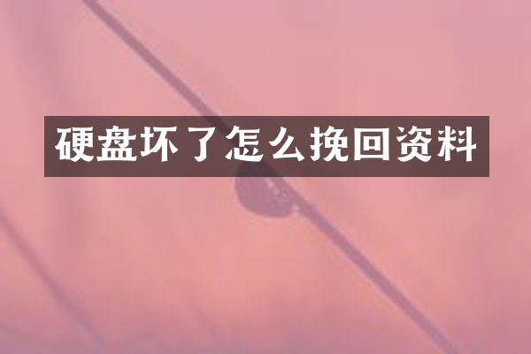 硬盘坏了怎么挽回资料