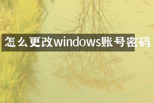 怎么更改windows账号密码