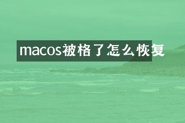 macos被格了怎么恢复