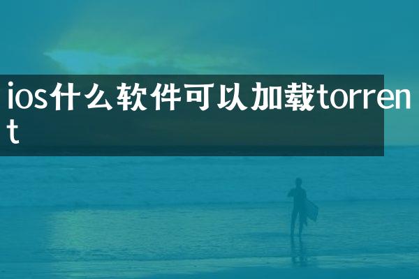 ios什么软件可以加载torrent