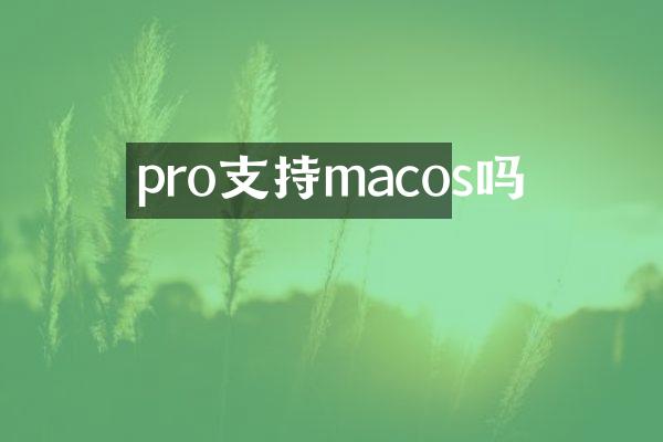 pro支持macos吗