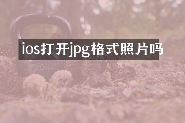 ios打开jpg格式照片吗