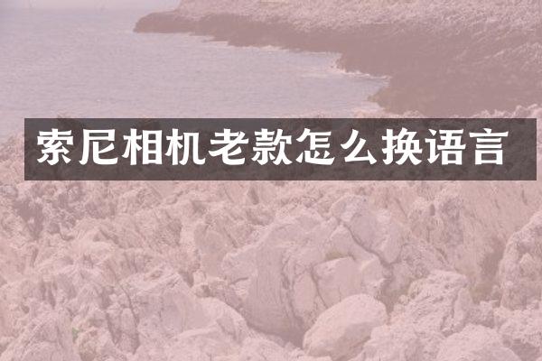 索尼相机老款怎么换语言