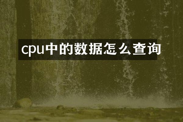 cpu中的数据怎么查询
