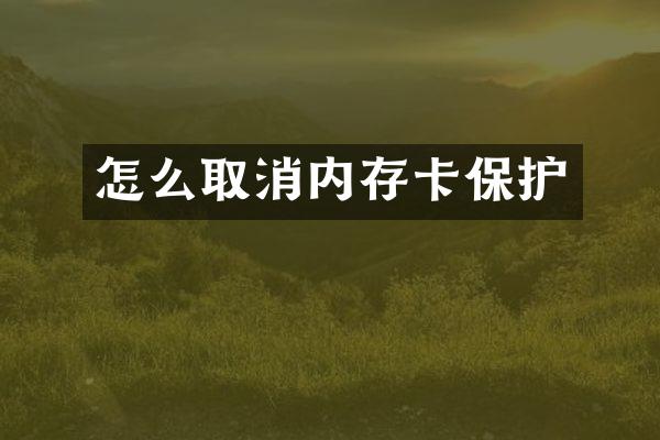 怎么取消内存卡保护