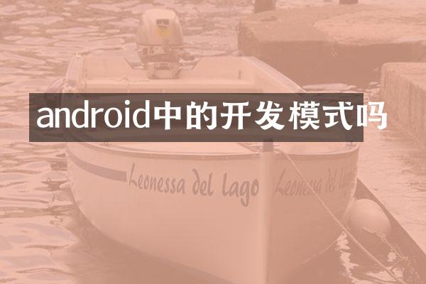 android中的开发模式吗