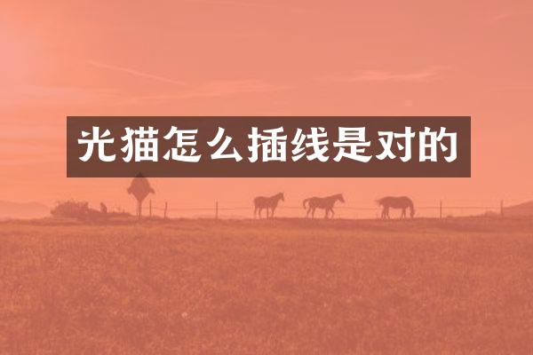 光猫怎么插线是对的
