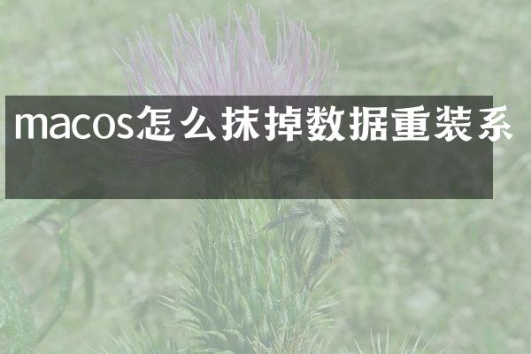 macos怎么抹掉数据重装系统