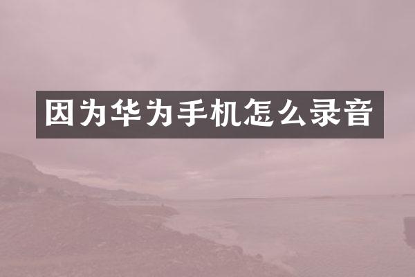 因为华为手机怎么录音