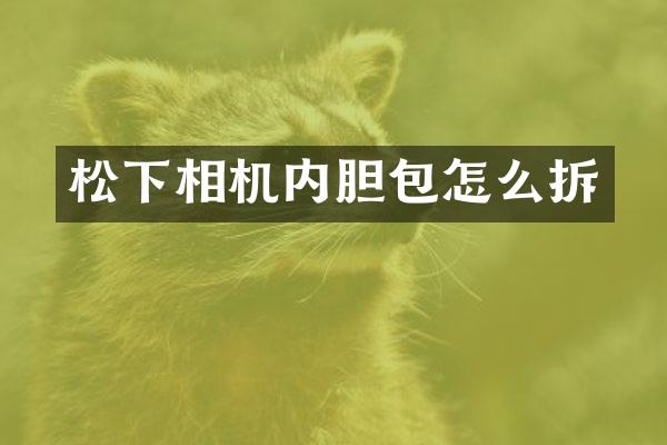 相机内胆包怎么拆