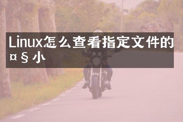 Linux怎么查看指定文件的大小