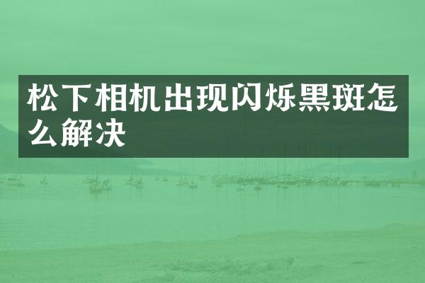 相机出现闪烁黑斑怎么解决
