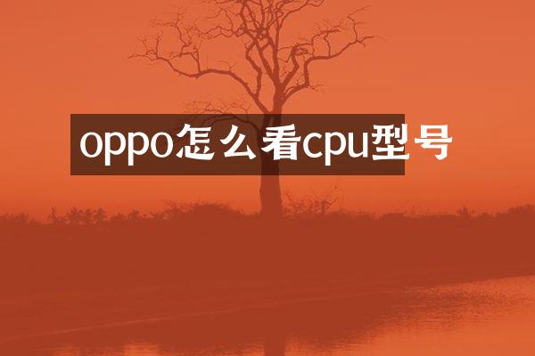 oppo怎么看cpu型号