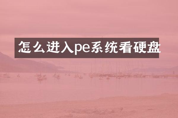 怎么进入pe系统看硬盘
