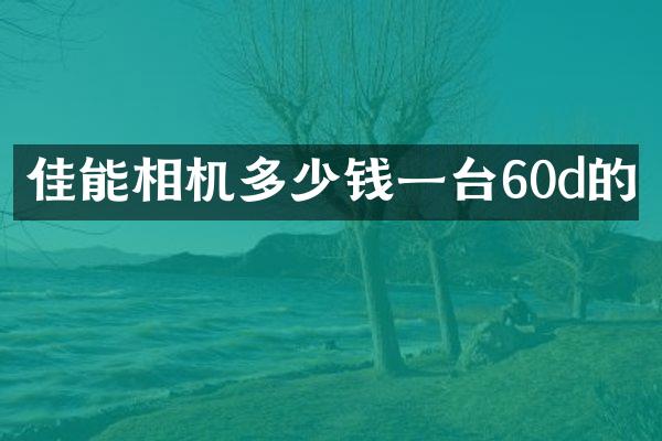 佳能相机多少钱一台60d的