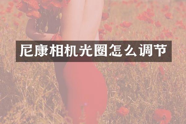 尼康相机光圈怎么调节