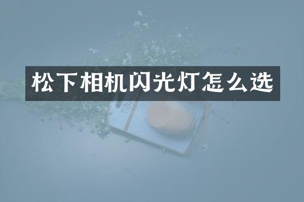 相机闪光灯怎么选