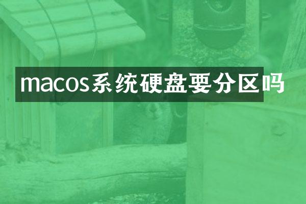 macos系统硬盘要分区吗