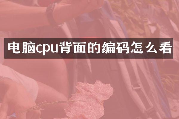 电脑cpu背面的编码怎么看