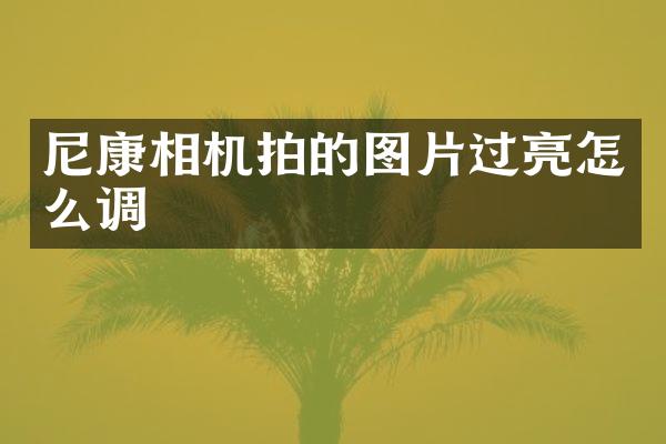 尼康相机拍的图片过亮怎么调