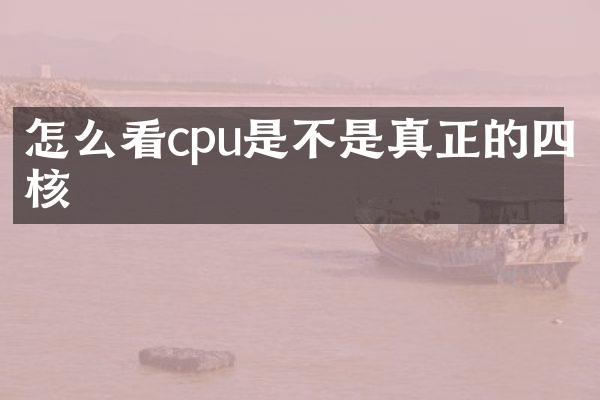 怎么看cpu是不是真正的四核