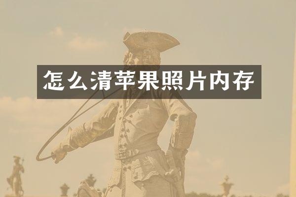 怎么清苹片内存