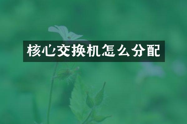 核心交换机怎么分配