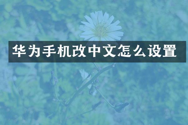 华为手机改中文怎么设置