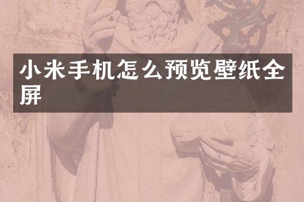 小米手机怎么预览壁纸全屏
