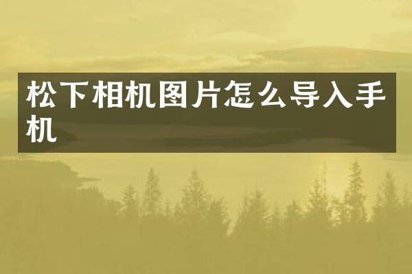 相机图片怎么导入手机