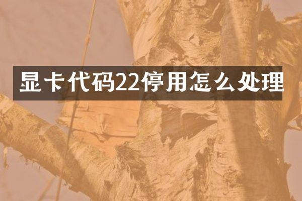 显卡代码22停用怎么处理