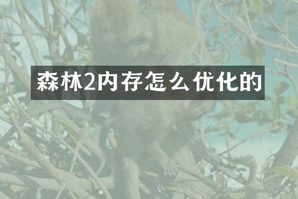 森林2内存怎么优化的