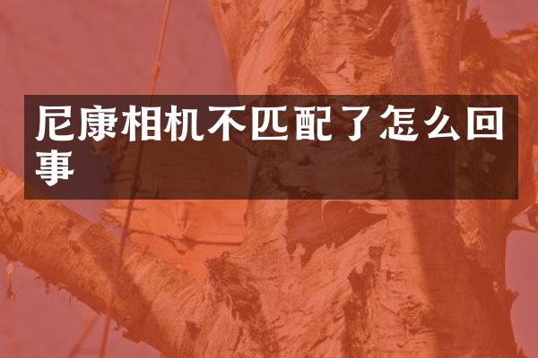 尼康相机不匹配了怎么回事