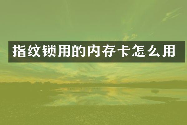 指纹锁用的内存卡怎么用