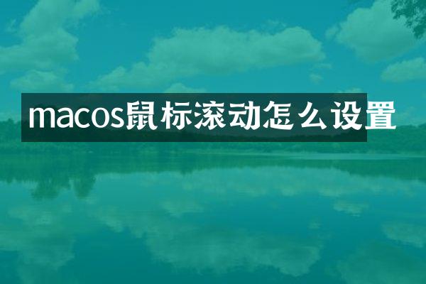 macos鼠标滚动怎么设置